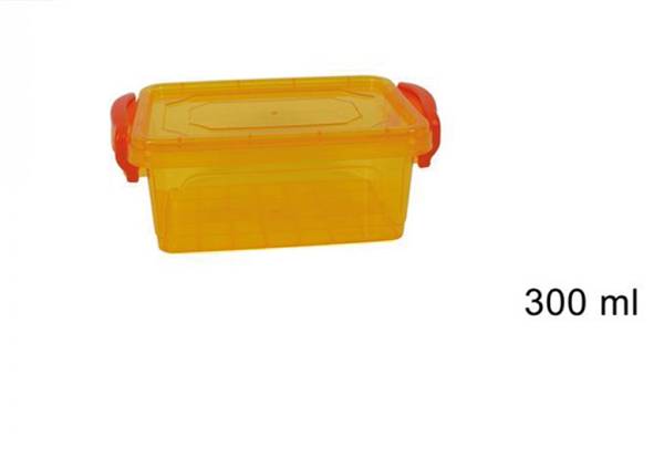 DUE ESSE CONTENITORE RETTANGOLARE 300ML 