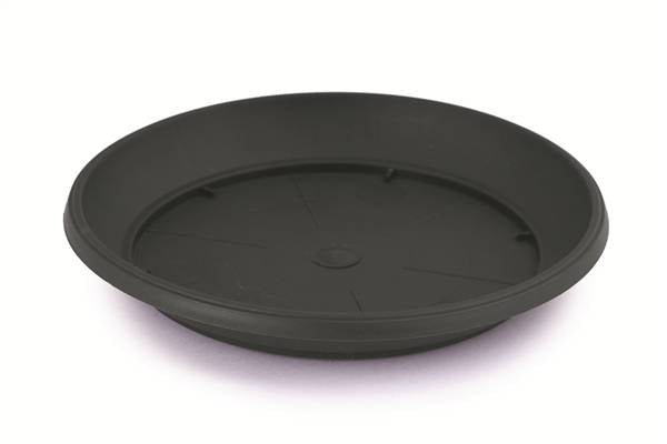 PLANA SOTTOVASO MEDITERRANEO CM.17 ANTRA 