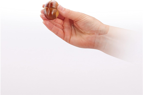 TESCOMA PINZA TAGLIA CASTAGNE "PRESTO"