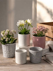 ARCA VASI CERAMICA ASSORTITI 