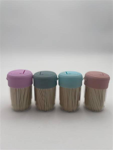 STUZZICADENTI DI BAMBOO 350 PEZZI 