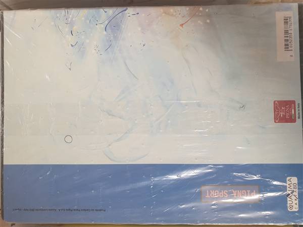 PIGNA QUADERNO RAGAZZO ASS RIG Q 