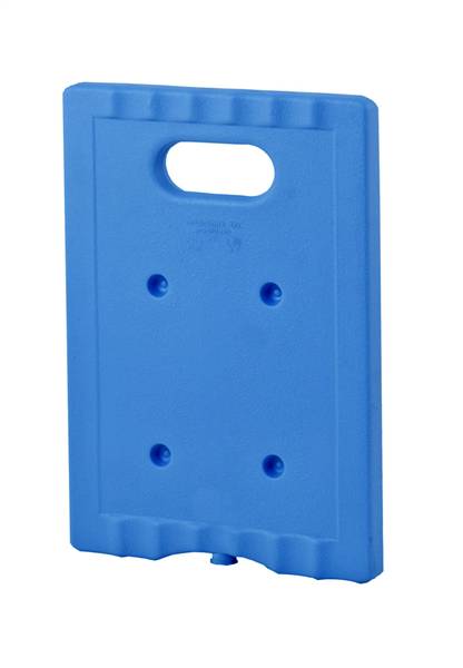 FABOSS PANETTO ICE 1000 TAVOLETTA 