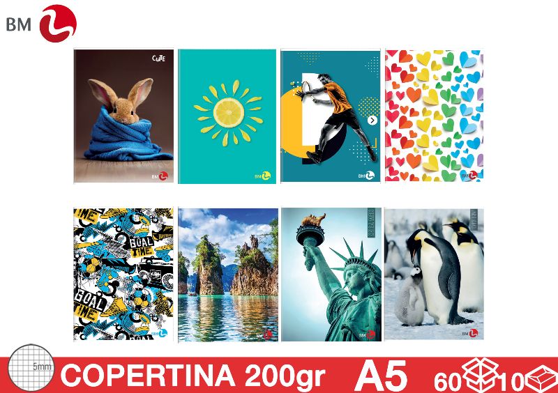 BM QUADERNO ASS. RIG 5MM