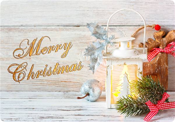 LUPIA TOVAGLIA COL. 31X45 CHRISTMAS D.11 