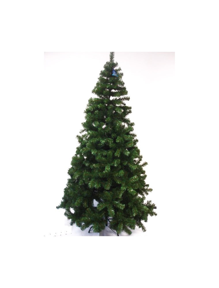 C.I ALBERO HIMALAYA VERDE H.240