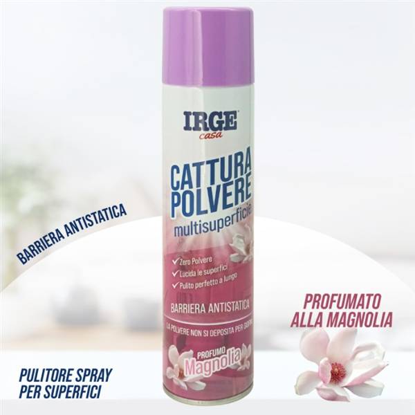 IRGE SPRAY C/POLVERE MULTISUPERFICIE 300 