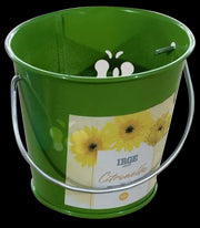 IRGE SECCHIELLO C/CANDELA CITRONELLA