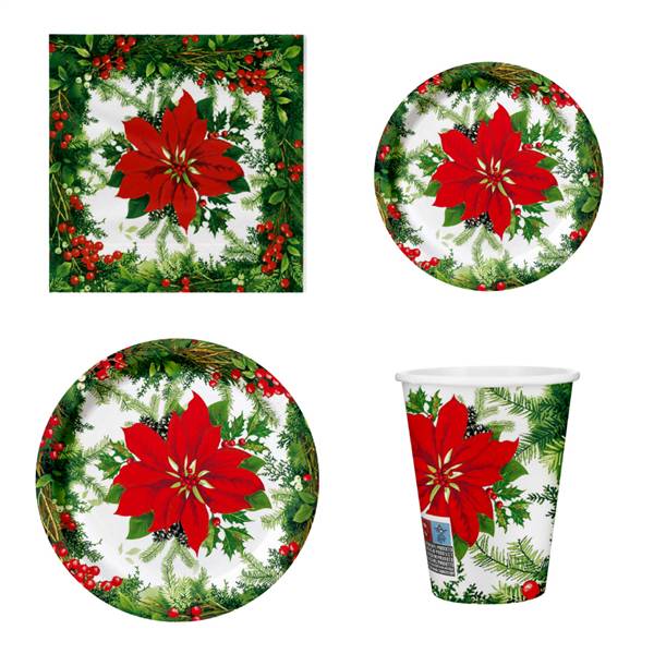 IRGE ESPOSITORE STELLA DI NATALE 102PZ 