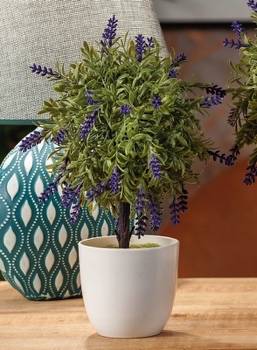 STAR VASO LAVANDA PLASTICA D.9,5XH28 