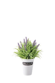 STAR VASO C/LAVANDA D15XH22 