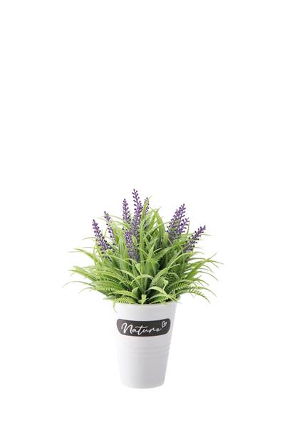 STAR VASO C/LAVANDA D15XH22 