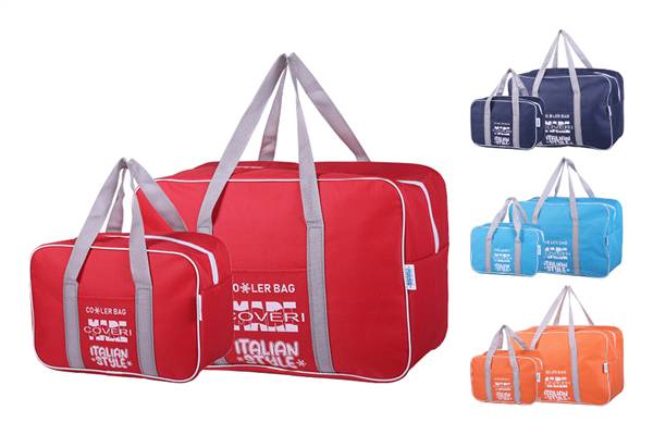 COVERI BORSA TERMICA FRIGO 24LT+7LT 