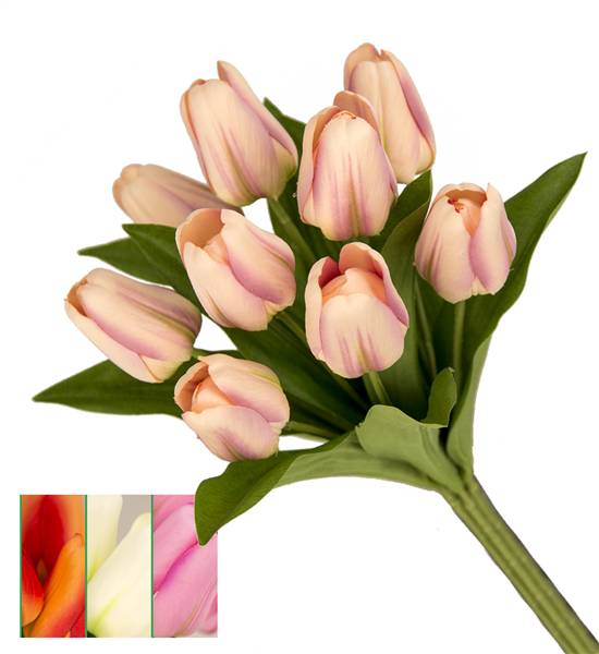 VEA BUSH 9 TULIPANI 4ASS. NIN 38574 33CM 