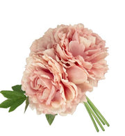 VEA BUSH 3 PEONIA SHABBY 5COL. ASS. 