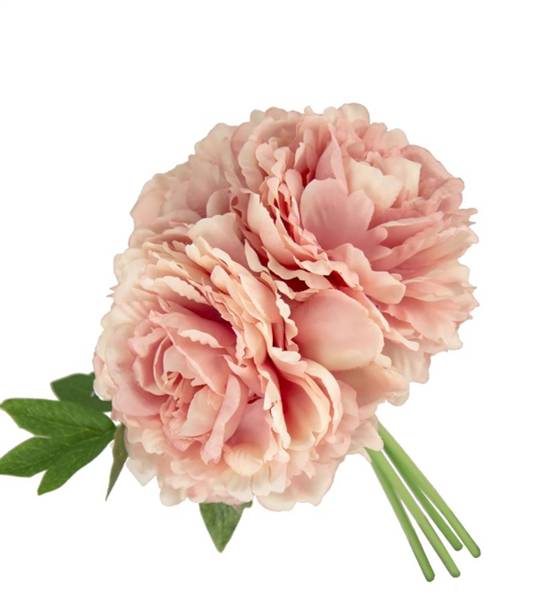 VEA BUSH 3 PEONIA SHABBY 5COL. ASS. 