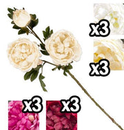 VEA TRALCIO 3 PEONY 80CM. 3COL. ASS. 