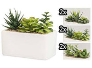 VEA PIANTA GRASSA VASO RETT. 17X17X15 