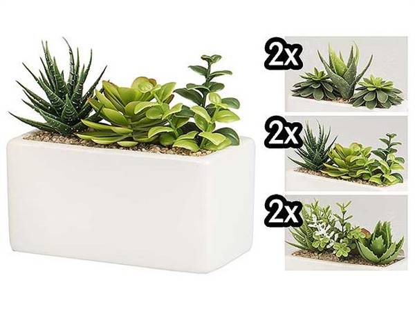 VEA PIANTA GRASSA VASO RETT. 17X17X15 