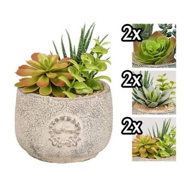 VEA PIANTA GRASSA VASO CEMENTO 11,5X15 