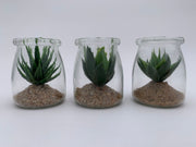 VEA PIANTA GRASSA MINI VASO VETRO DM.7X8