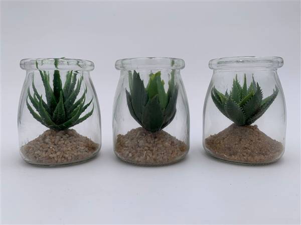 VEA PIANTA GRASSA MINI VASO VETRO DM.7X8 