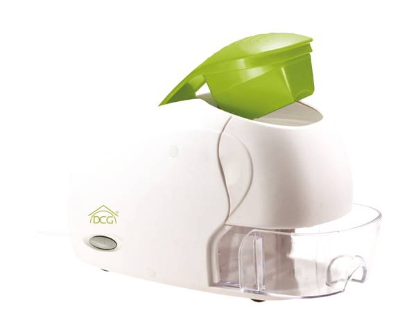 DCG GRATTUGIA ELETTRICA 250W GR1320 