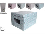 DUE ESSE BOX ABITI 54X44X33 FOGLIE 