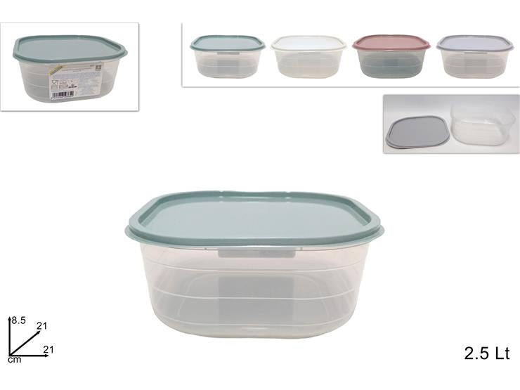 DUE ESSE CONTENITORE QUADRATO 2,5LT C/CP - Infinity Home Store