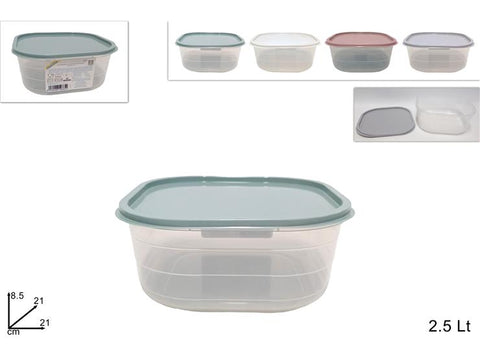 DUE ESSE CONTENITORE QUADRATO 2,5LT C/CP - Infinity Home Store