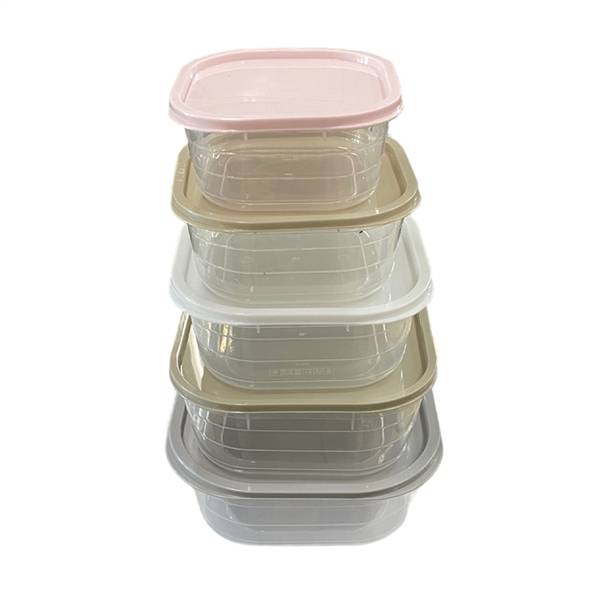 DUE ESSE CONTENITORI PLAST TRASP 5PZ 