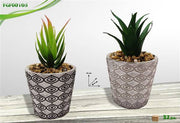 FGF VASO TERRACOTTA C/PIANTINA 