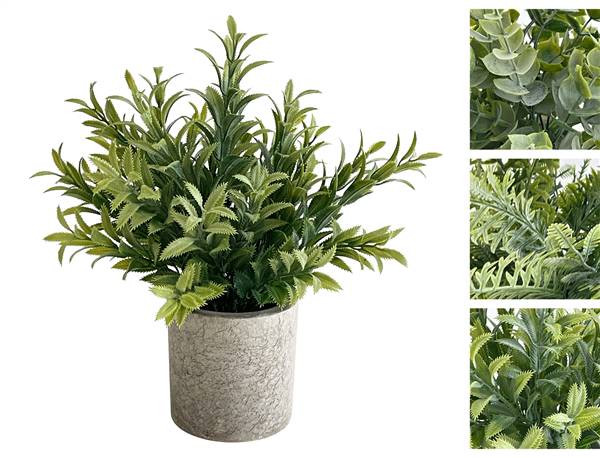 VEA VASO FREEN 22CM 3ASS. LAO58716 