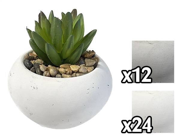 VEA PIANTA GRASSA 9X9X10CM 2ASS GHA59432 