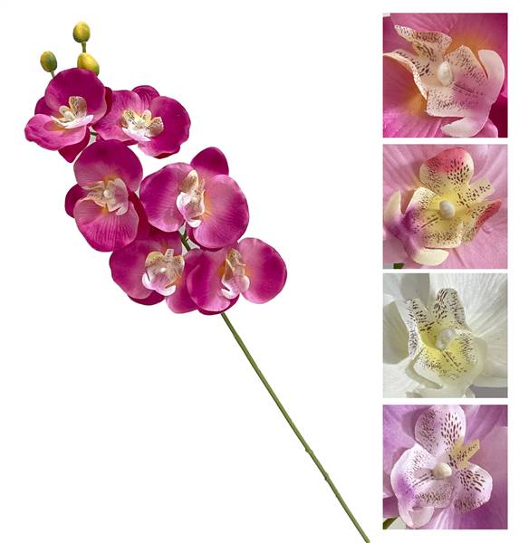 VEA STELO ORCHIDEA 6FIORI 68CM NIC59462 