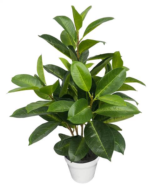 VEA PIANTA FICUS IN VASO 71CM SIL59803