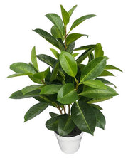 VEA PIANTA FICUS IN VASO 71CM SIL59803 