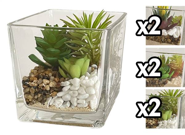 VEA PIANTA GRASSA VASO VETRO GHA60053 12X12CM