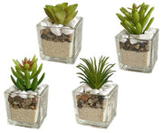 VEA PIANTINA SQUARE VETRO GHA60054 5X5X9H CM