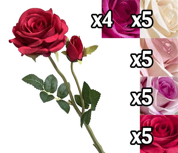 VEA ROSA 2 STELI 47CM 5ASS LUS60061 