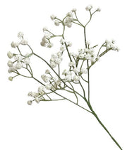 VEA STELO NEBBIOLINA BIANCA 61CM 60068