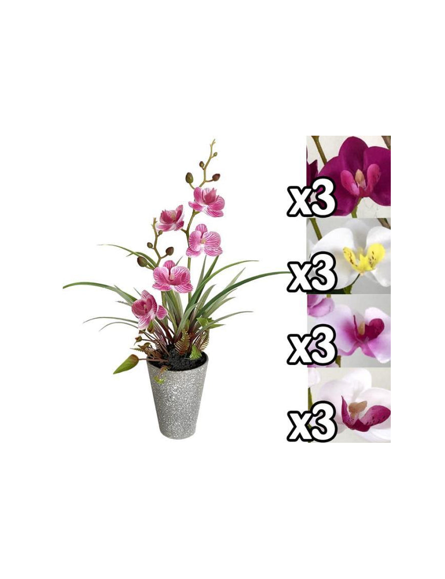 VEA PIANTINA ORCHIDEA 37CM 4ASS MEI60168 - Infinity Home Store