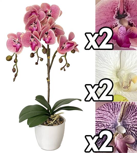 VEA ORCHIDEA VASO 54CM 3ASS MEI60170 