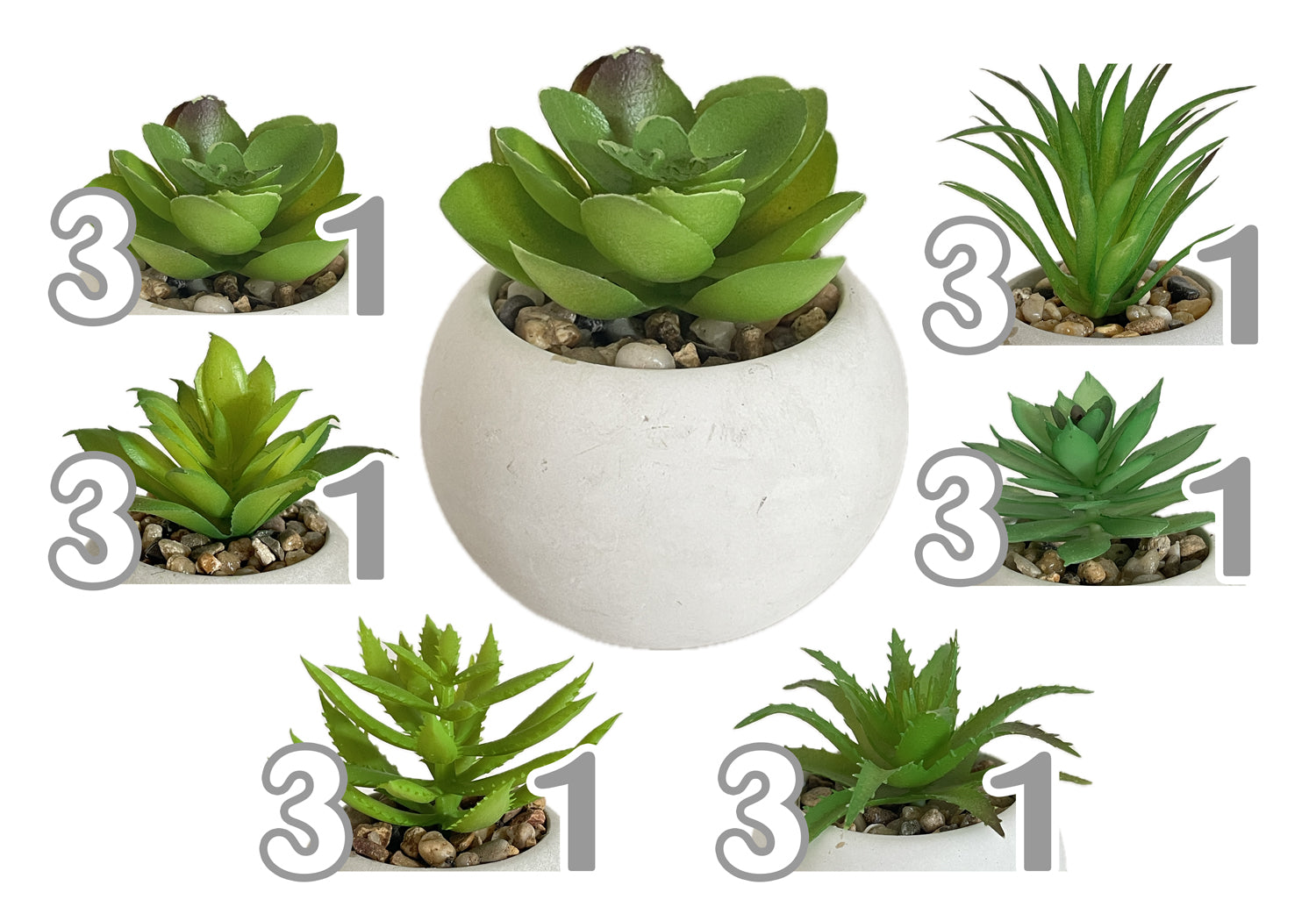 VEA PIANTA GRASSA 8X8X9CM 6ASS GHA60516