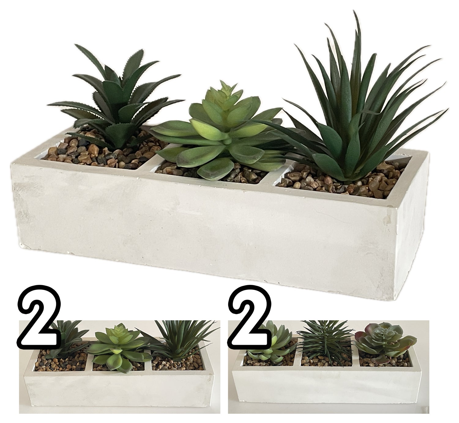VEA PIANTA GRASSA 26X10X13CM GHA60517 - Infinity Home Store