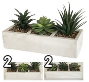 VEA PIANTA GRASSA 26X10X13CM GHA60517