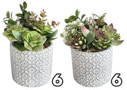 VEA VASO TILE 12X12X20 ZEF62143