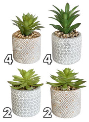 VEA PIANTINA GRASSA 7,5X7,5X12,5 62144