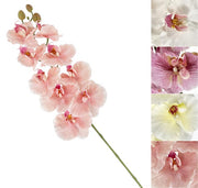 VEA ORCHIDEA SOFT STELO 100CM GIG62200