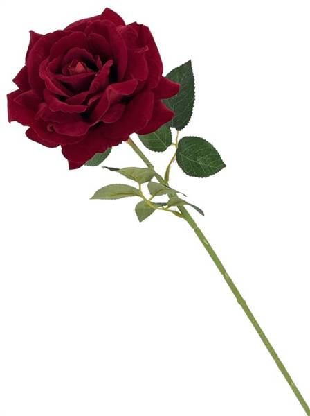VEA ROSA RED VELVET STELO 70CM TIG62460 